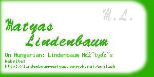 matyas lindenbaum business card